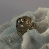 Vintage 925 Sterling Silver Ring Size 5