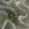 Beautiful 925 Sterling Silver Gold Plated CZ Ring Size 9