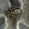 Unique Design 925 Sterling Silver Ring Size 8.5