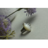 925 Sterling Silver Mother Of Pearl Ring Size 6.5