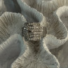 925 Sterling Silver Belt CZ Ring Size 9