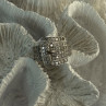 925 Sterling Silver Belt CZ Ring Size 9
