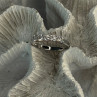 Paj 925 Sterling Silver White Topaz Ring Size 8