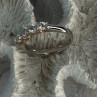 Paj 925 Sterling Silver White Topaz Ring Size 8
