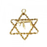 14K Yellow Gold Star OF David Pendant