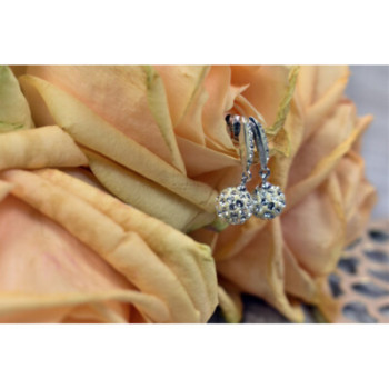 925 Sterling Silver Earrings