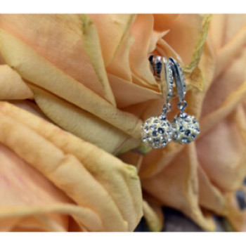 925 Sterling Silver Earrings