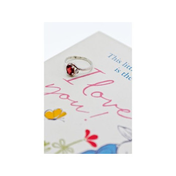 925 Sterling Silver Almandine & Beryl Ring Size 6