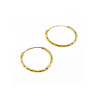 10K YELLOW GOLD EARRINGS