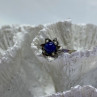 925 Sterling Silver Star Sapphire Ring Size 5.5