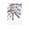 925 Sterling Silver Iolite Earrings