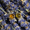 925 Sterling Silver Amber Earrings