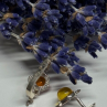 925 Sterling Silver Amber Earrings