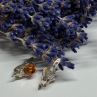925 Sterling Silver Amber Earrings