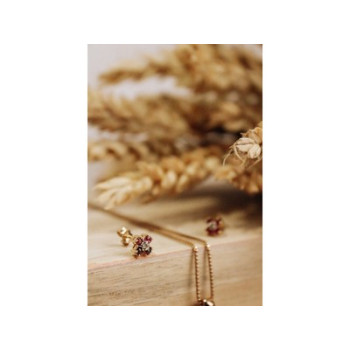 14k Yellow Gold Ruby & Diamonds Earrings