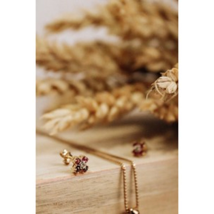14k Yellow Gold Ruby & Diamonds Earrings