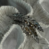 925 Sterling Silver Brooch Leaves Width 2.1 Inch