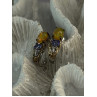 925 Sterling Silver Yellow Opal & Tanzanite Earrings Length 0.70 inch