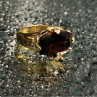 925 Sterling Silver Gold Plated Hessonite & Diamonds Ring Size 5.5