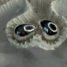 925 Sterling Silver Drop Earrings Length 0.66 Inch