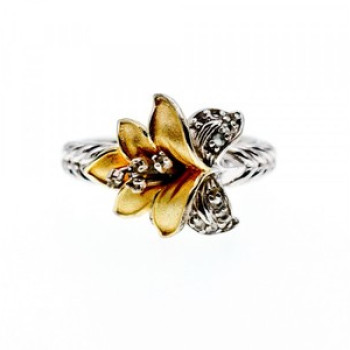 925 Sterling Silver Gold Plated CZ 