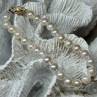 14K Yellow Gold Clasp Fresh Water Pearl Bracelet 7 Inch