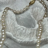 14K Yellow Gold Claps Fresh Water Pearl Necklace 18 Inch
