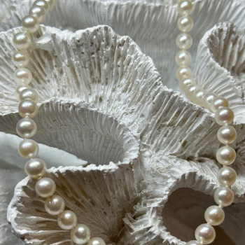 14K Yellow Gold Claps Fresh Water Pearl Necklace 18 Inch