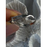925 Sterling Silver Citrine & Beryl Ring Size 8.5