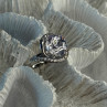 Shiny 925 Sterling Silver Cz Ring Size 8