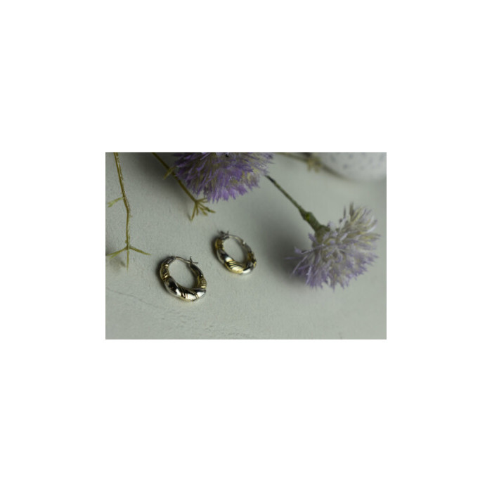 925 Sterling Silver Gold Plated Earrings