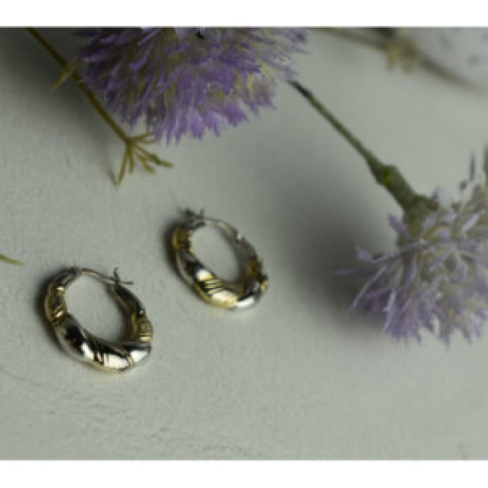 925 Sterling Silver Gold Plated Earrings