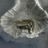 925 Sterling Silver Turtle Ring Sizable Maximum Size 3