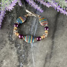 925 Sterling Silver Multicolor Jasper Bracelet Size 7.5 IN