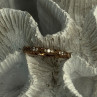 925 Sterling Silver Gold Plated Vanna K White Sapphire Ring Size 8