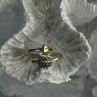 925 Sterling Silver Abalone Ring Sizable 5