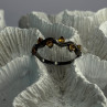 925 Sterling Silver Citrine Ring Size 9.5