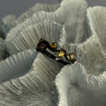 925 Sterling Silver Citrine Ring Size 9.5