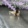 925 Sterling Silver Hessonite Ring Size 6.5