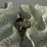 Elegant 925 Sterling Silver Ring Size 7