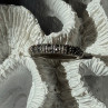 925 Sterling Silver Marcasite Band Ring Size 8