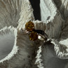 Shiny 925 Sterling Silver Cz Ring Size 4.5