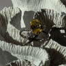 Shiny 925 Sterling Silver Citrine & Beryl Ring Size 10