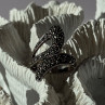 Beautiful Design 925 Sterling Silver Marcasite Ring Size 7.5
