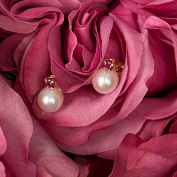 14K Yellow Gold Pearl & Ruby Stud Earrings