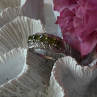 925 Sterling Silver Peridot & Diamond Ring Size 8.5