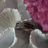 Vintage 925 Sterling Silver Sapphire & Beryl Ring Size 7