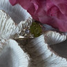 925 Sterling Silver Peridot & Tanzanite Ring Size 7