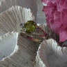 925 Sterling Silver Peridot & Tanzanite Ring Size 7