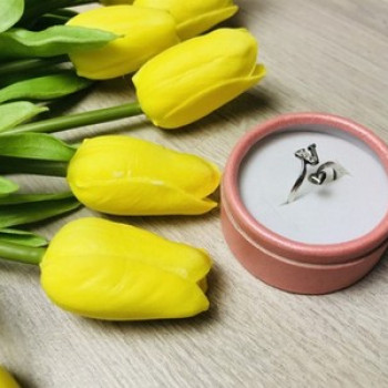925 Sterling Silver Ring With the Letter 